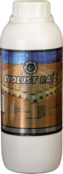 evolust raiz